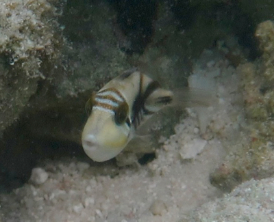 d0298808_21173024.jpg