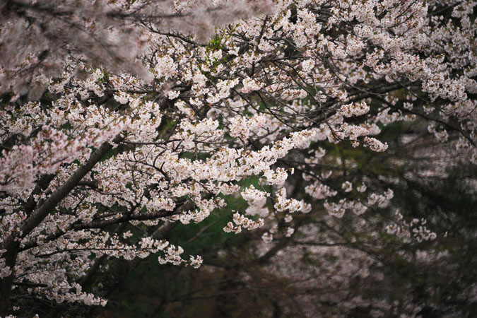 a0263109_112899.jpg