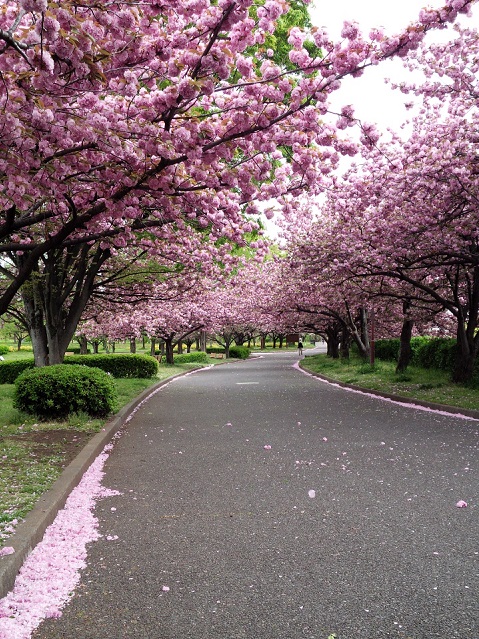 a0024829_8585316.jpg