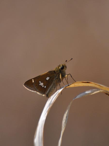 c0045352_18451645.jpg