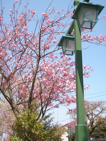c0327752_14200491.jpg