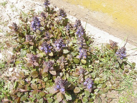 c0327752_14224594.jpg