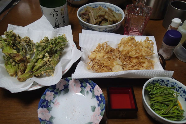 a0083760_9162515.jpg