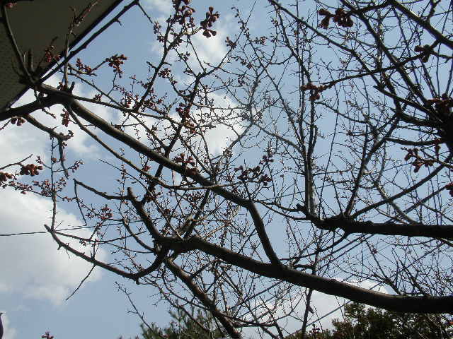 d0150967_2237171.jpg
