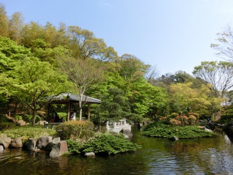 e0045768_22363395.jpg