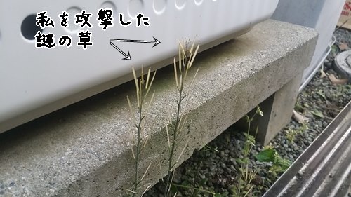 e0248268_23145258.jpg