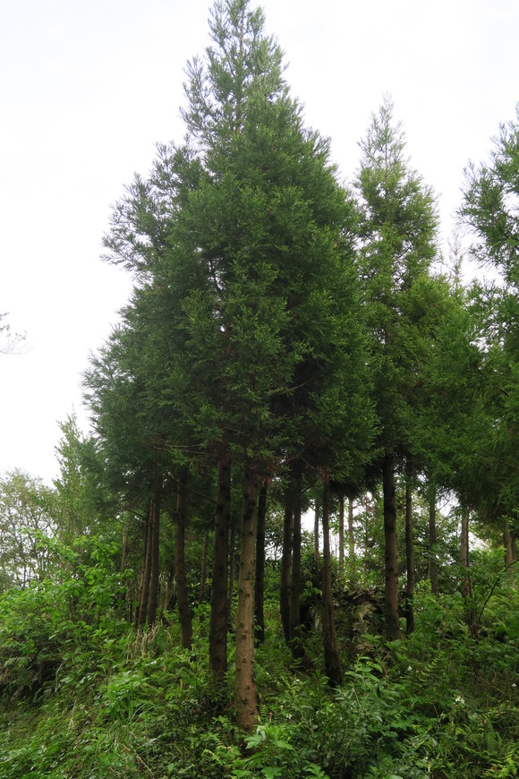 e0292172_213546.jpg