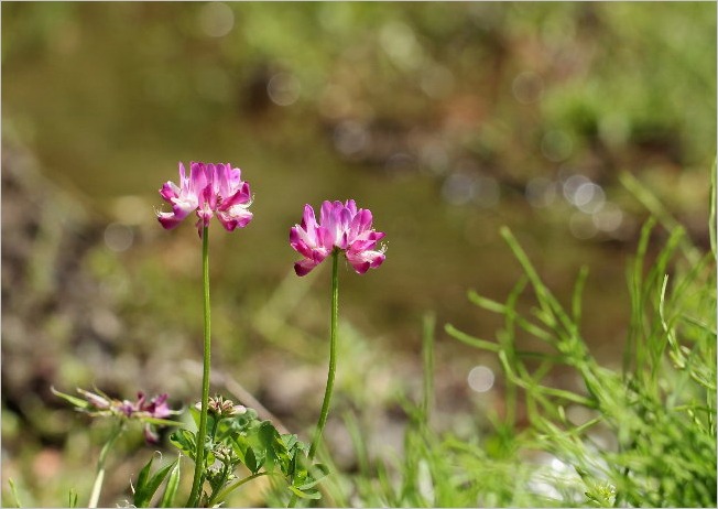 f0181173_20121357.jpg