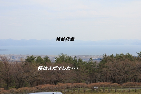 c0283778_11193989.jpg