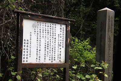 c0152779_942837.jpg