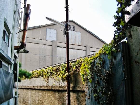 f0004581_08090429.jpg