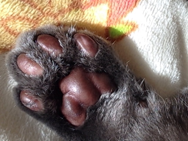 c0348792_21455393.jpg