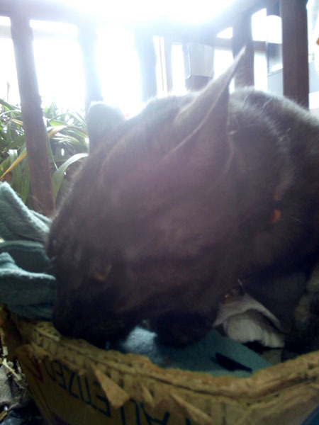 c0206596_07553160.jpg
