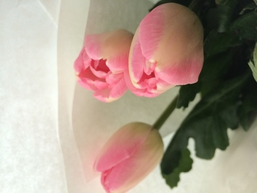 f0201297_05540858.jpg