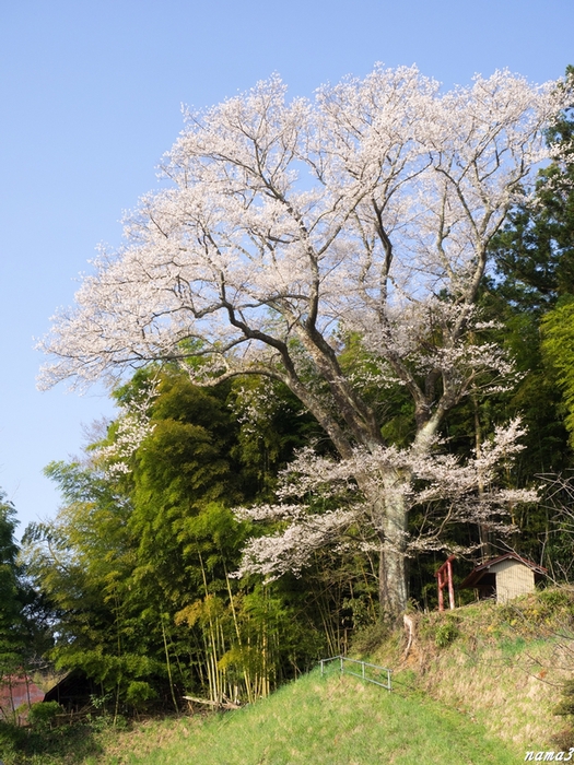 f0224100_22311821.jpg