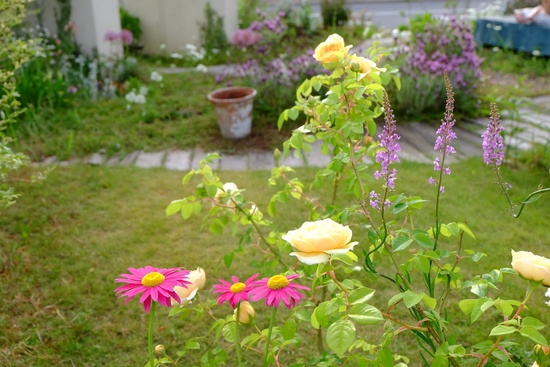 f0113108_756246.jpg