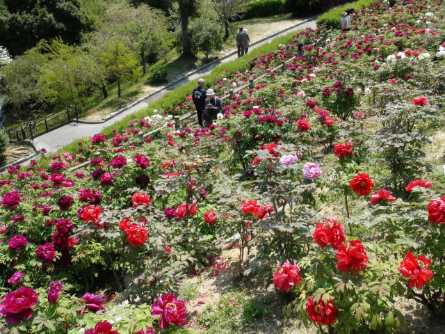 f0231709_11263030.jpg