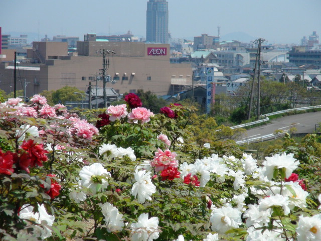 f0231709_11271171.jpg