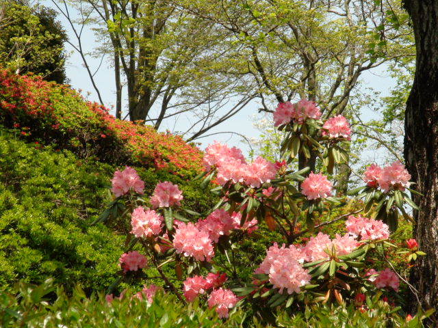 f0231709_1129258.jpg