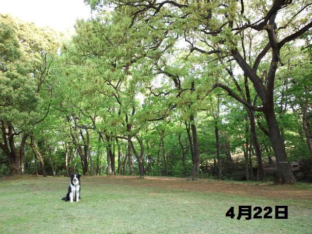 d0224111_19155726.jpg