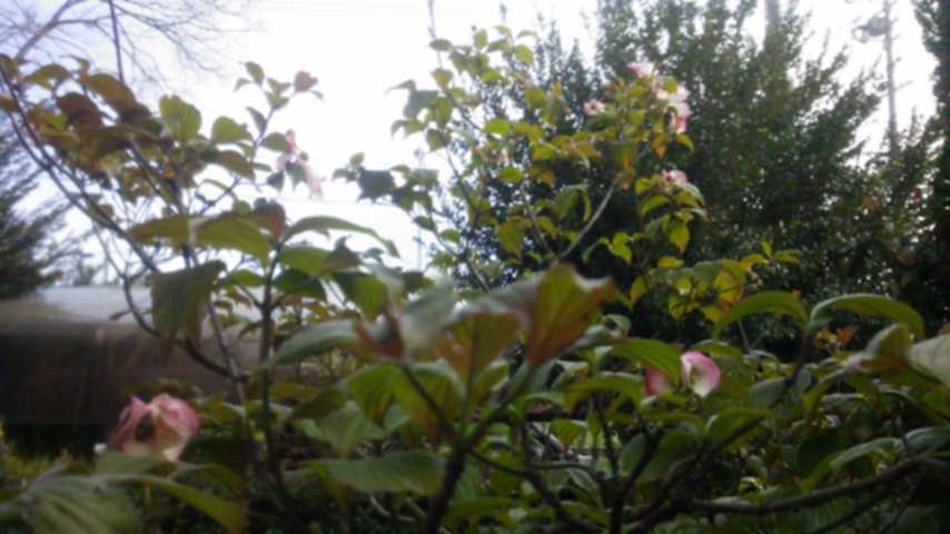 c0029913_12271864.jpg