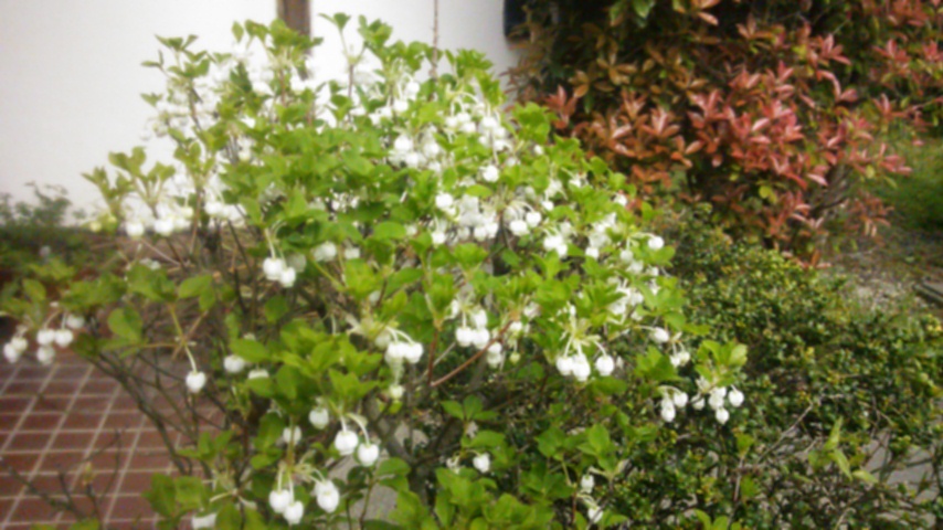 c0029913_12280375.jpg