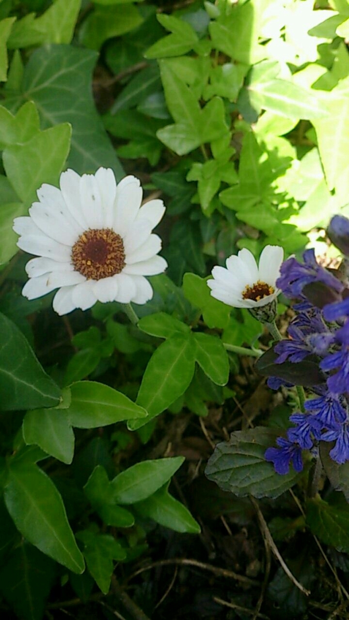 c0352015_08250247.jpg