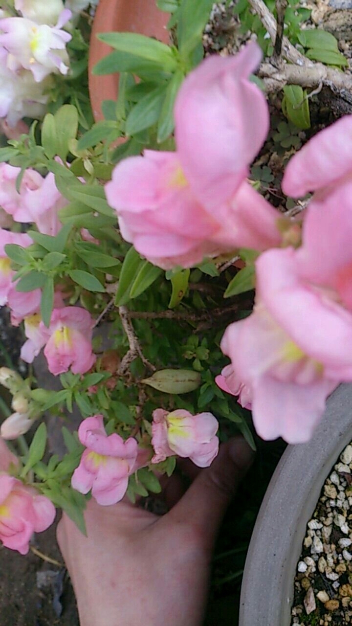 c0352015_20414041.jpg