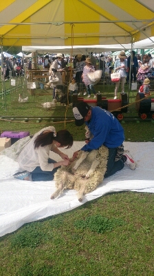 b0204719_18363814.jpg