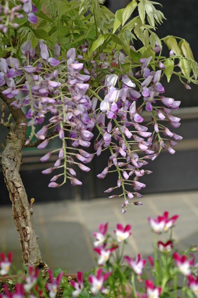 f0147025_21345683.jpg