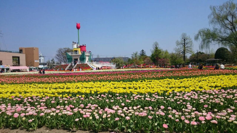 b0211627_14372345.jpg