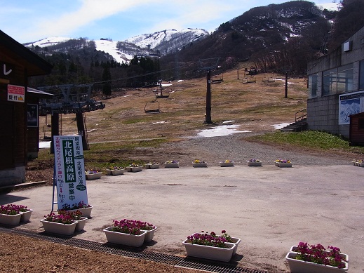 c0225927_16403520.jpg