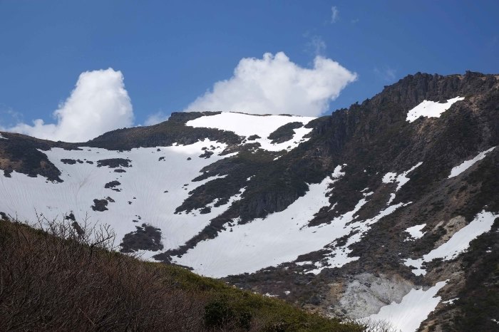 d0237340_20302168.jpg