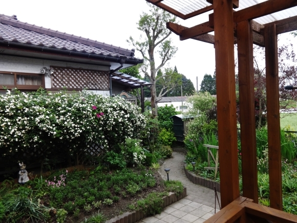 d0231942_17531946.jpg