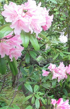 c0225143_17134133.jpg