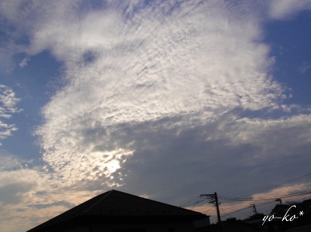 e0337759_10301795.jpg