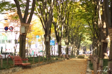 e0337759_10314664.jpg