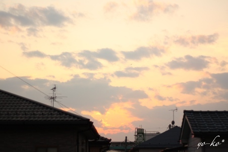 e0337759_10314726.jpg