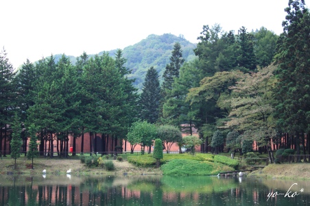 e0337759_10334412.jpg