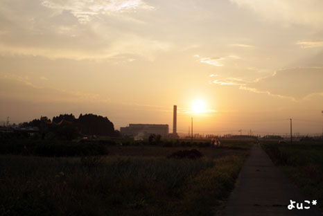 e0337759_10361244.jpg