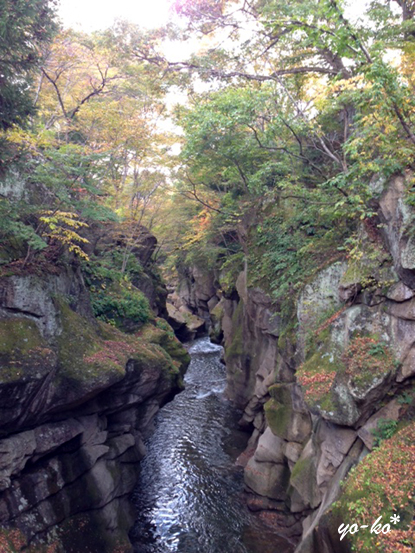 e0337759_10411216.jpg