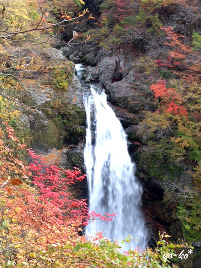 e0337759_10411442.jpg
