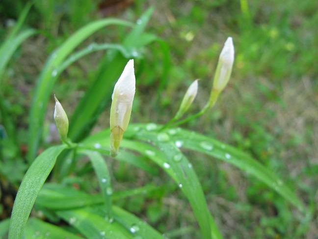 a0052762_2204928.jpg