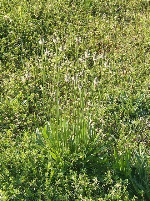 b0044663_14314087.jpg