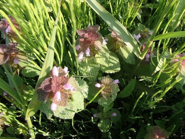 b0044663_14374017.jpg