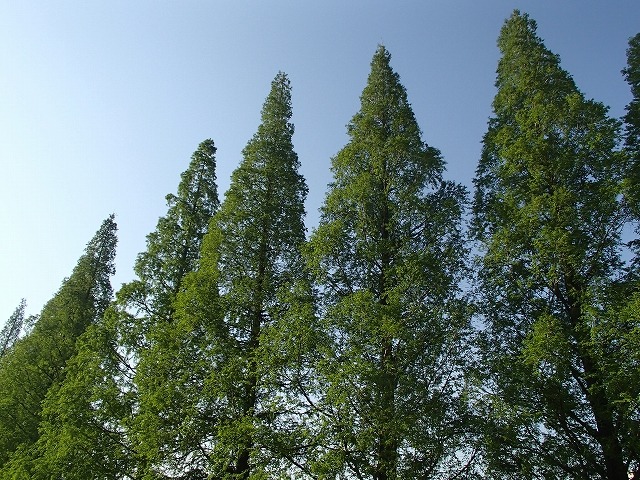 b0044663_14381161.jpg