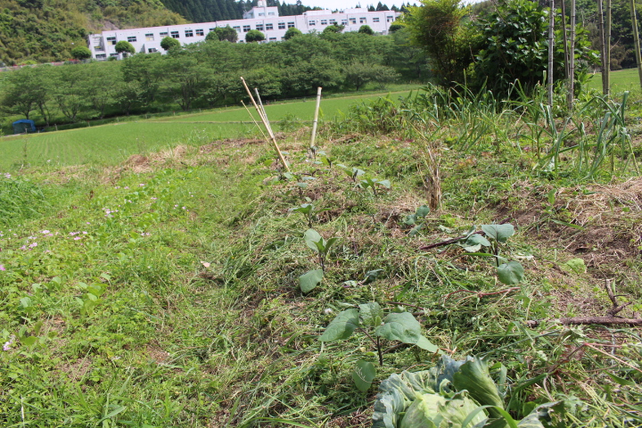 e0065967_20133318.jpg