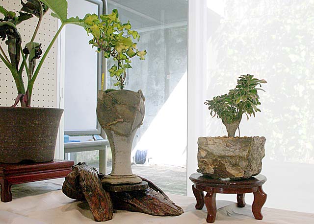 c0068168_1054980.jpg