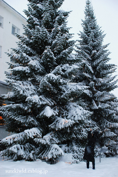 e0231876_455875.jpg