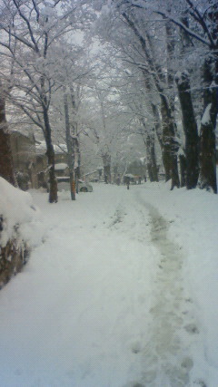 e0337777_11093571.jpg